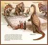 Dinosaur Art - Dinotopia