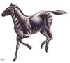 Prehistoric horse 3