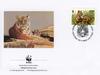 Siberian Tigers (WWF Tiger Postcard)