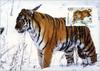 Siberian Tiger (WWF Tiger Postcard)