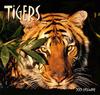 Tiger Calendar 2001 - front