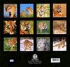 Tiger Calendar 2001 - back