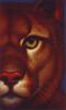 [Animal Art : Eyes] Eye of the Puma-Richard Cowdrey