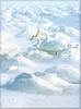 Phoenix Rising Jungle Book 090 - Whooper Swans pair on snow - whooper swan (Cygnus cygnus)