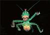 Phoenix Rising Jungle Book 209 - Spike-headed Katydid