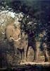 Phoenix Rising Jungle Book 259 - African Elephant grazing