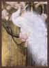 [Animal Art] White Peafowl  - Indian peafowl - Pavo cristatus