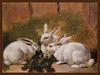 [Animal Art] Three white rabbits