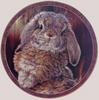 [Animal Art] Rabbit