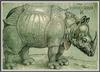 Rhinoceros  - an imaginary art by William Jannsen