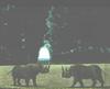 [Animal Art] Carel Willink: Rhinoceros  in the park