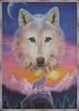 [Animal Art] Arctic Wolf (Canis lupus arctos)  - The Lone Wolf