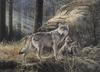 [Animal Art] Gray Wolves (Canis lufus)
