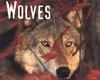 Wolves Calendar: Gray Wolf (Canis lufus)  - cover