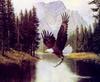 [Animal Art] Bald Eagle (Haliaeetus leucocephalus) in flight with fish