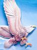 [Animal Art] Bald Eagle (Haliaeetus leucocephalus) in flight