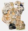 [Animal Art] Barbara Keith - Coats Of Many Colors (Coats of Wild Cats)