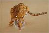 [Animal Art] Tiger (Panthera tigris) drinking water