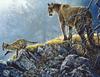 [Animal Art] Cougar (Puma concolor) mother and kit - painting by Robert Bateman