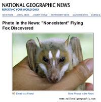 '민도로큰박쥐’로 명명된 이 박쥐는 특이한 외모 때문에 ‘나는 여우’라는 별칭으로 불린다.
