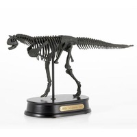 Carnotaurus Skeleton
