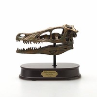 Velociraptor Skull - Brown