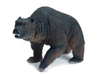 Cave Bear (Ursus spelaeus)