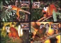 Panama Red-backed Squirrel Monkey Set of 4 official Maxicards