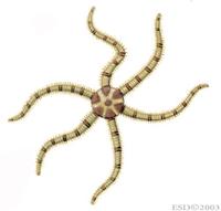 Image of: Ophiactis savignyi (Savigny's brittle star)