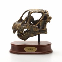 Camarasaurus Skull - Brown