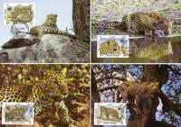Afghanistan Leopard Set of 4 official Maxicards