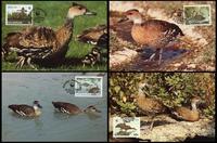 Bahamas West Indian Whistling Duck Set of 4 official Maxicards