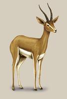 Image of: Gazella dorcas (dorcas gazelle)