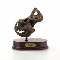 Protoceratops Skull - Brown