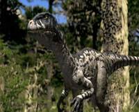 Utahraptor