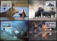 Congo Common Hippo Set of 4 official Maxicards