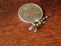 : Sphaerodactylus homolepis; Caribbean Least Gecko
