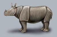 Image of: Rhinoceros sondaicus (Javan rhinoceros)