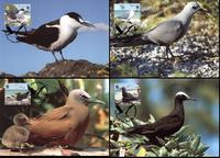 Pitcairn Islands Seabirds of Pitcairn Islands Set of 4 official Maxicards