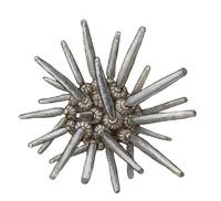 Image of: Eucidaris tribuloides (slate pencil urchin)