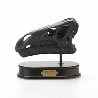 Iguanodon Skull - Black