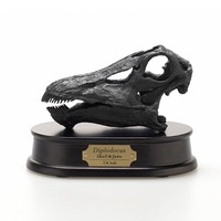 Diplodocus Skull - Black