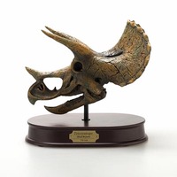 Triceratops Skull - Brown