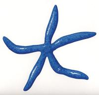 Image of: Linckia laevigata (blue starfish)