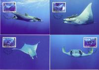 Gibraltar Giant Devil Ray Set of 4 official Maxicards