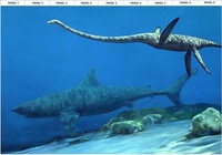 Plesiosaur & Shark - 10 ft x 13.5 ft