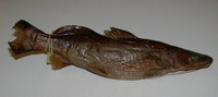 Bagrus meridionalis, Kampoyo: fisheries, aquarium