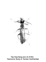 원통목가는병대벌레 - Podabrus circumangulatus