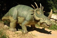 Styracosaurus sp.