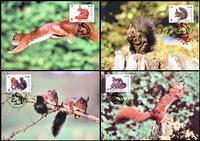 Slovenia Red Squirrel Set of 4 official Maxicards